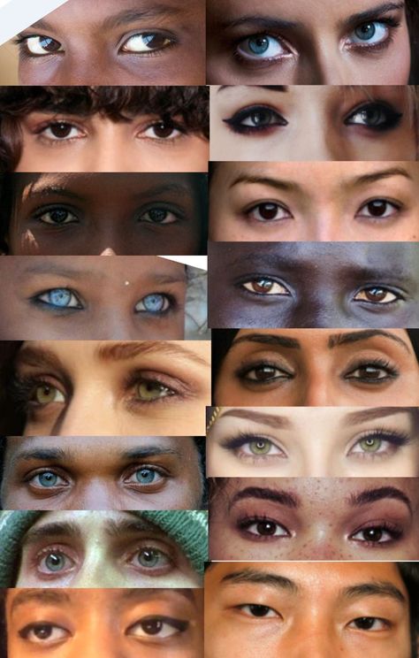 Nose Study Reference, Eye Reference Photo, Different Facial Features, Different Eye Shapes, Eye Study, Body References, Eye Expressions, Face Anatomy, 얼굴 드로잉