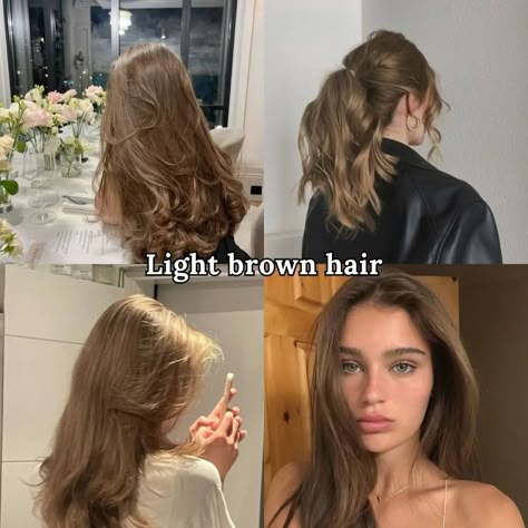 What do you choose??? #jetblackhair#blackhair#brunettehair#brunette#redhair#readhead#lightbrownhair#blonde#blondehaor#haircolors Hair Color Ideas For Light Brown Skin, Bleached Hair To Light Brown, Blond Hair For Brunettes, Blonde From Brown, Blond Or Brunette, Types Of Brunette, Blonde In Brown Hair, All Over Brown Hair, Aesthetic Light Brown Hair