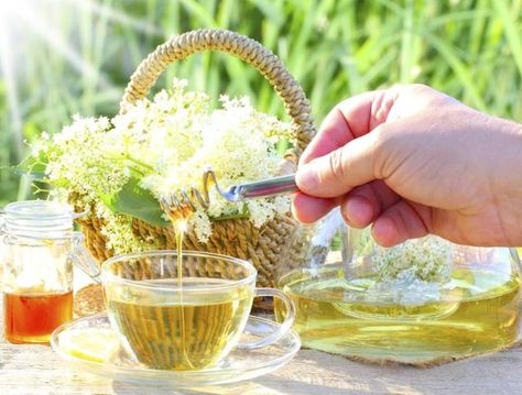 Elder Flower Tea Benefits Flower Tea Benefits, Elderflower Tea, Elder Flower, Medicinal Tea, Alcohol Detox, Elderberry Syrup, Healthy Teas, Tea Benefits, Types Of Tea