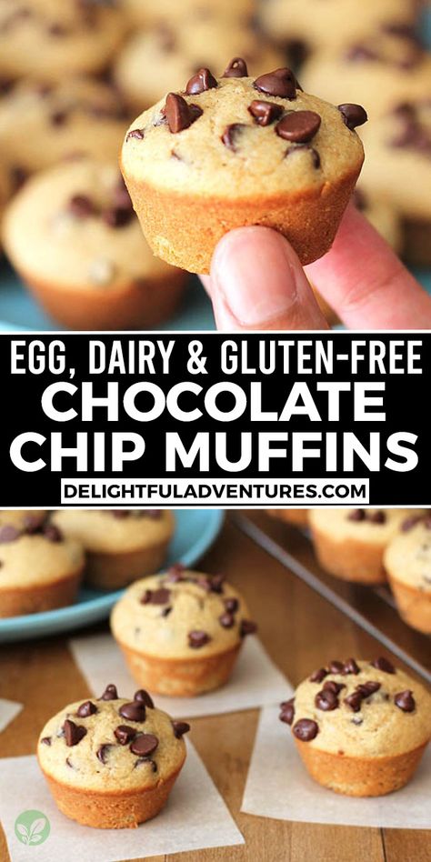 Chocolate Chip Muffins Vegan, Gluten Free Chocolate Chip Muffins, Mini Chocolate Chip Muffins, Gluten Free Dairy Free Dessert, Dairy Free Recipes Dinner, Allergen Free Recipes, Dairy Free Snacks, Gluten Free Kids, Dairy Free Breakfasts