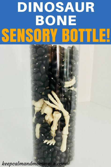 Summer Sensory Bottles, Fall Sensory Bottles, Winter Sensory Bottles, Sensory Bottles For Babies, Sensory Bottle Ideas, Calm Sensory Bottles, Bottle Sensory, Oil Rainbow, Sensory Bottles For Toddlers