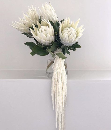 White Protea, Hanging Amaranthus, Katie White, Protea Wedding, Protea Bouquet, Modern Bouquet, Protea Flower, Candy Flowers, Dried Florals