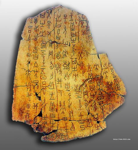 The ancient Chinese characters were written on animals’ bones and turtle shells at first. From Shang dynasty to Zhou dynasty, people started to inscribe on bronze. The characters were illogical but the formats and sizes were fixed a lot. After Qin dynasty unified China, the emperor standardize the writing characters which was called seal script. Oracle Bones, Historical Linguistics, Language Evolution, Seal Script, Ancient Text, Chinese Script, Ancient Chinese Characters, Turtle Shells, Chinese Dynasties