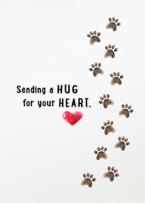 Sympathy Cat Loss, Dog Died Quotes Sympathy, Dog Condolences Loss Of Pet, Loss Of Pet Dog Sympathy Cards, Pet Loss Sympathy Messages, Loss Of Pet Card, Pet Sympathy Quotes, Pet Quotes Cat, Sympathy Wishes