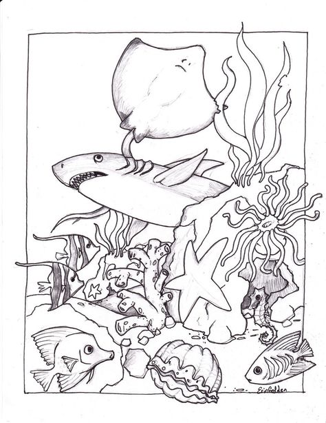 Ocean Coloring Pages for Preschool | Free Printable Ocean Coloring Pages For Kids Ocean Coloring Pages, Fish Coloring Page, Ocean Kids, Detailed Coloring Pages, Sea Colour, Poster Photo, Ocean Colors, Animal Coloring Books, Coloring Pages To Print