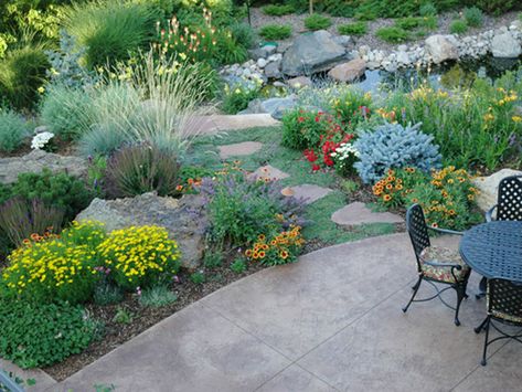 3 Landscape Design Ideas Inspired by the Denver Botanic Gardens - Lifescape Colorado Colorado Landscaping, Xeriscape Front Yard, Xeriscape Landscaping, Water Wise Landscaping, Denver Botanic Gardens, Gardening Projects, Easy Landscaping, Water Wise, Backyard Inspo