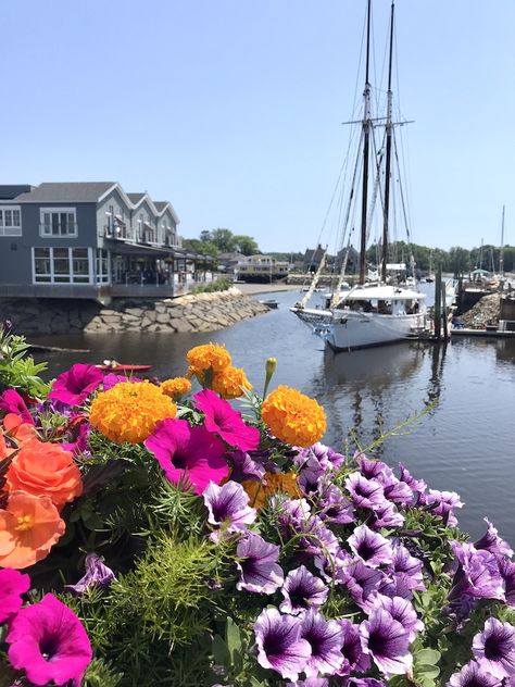 Maine Usa Aesthetic, Lupine Lady, Cove Aesthetic, Maine Flowers, Kennebunkport Wedding, Maine Aesthetic, Kennebunk Maine, Maine Homes, Maine Summer