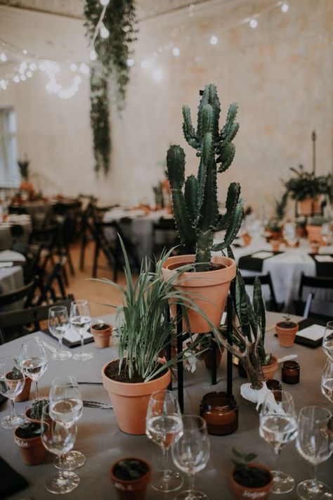 Cactus Centerpiece, Cheap Wedding Table Centerpieces, Wedding Plants, Wedding Motifs, Cactus Wedding, Tafel Decor, Wedding Floral Centerpieces, Villa Wedding, Plant Table