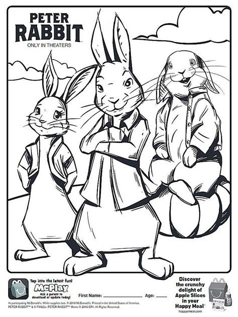 Peter Rabbit Coloring Pages, Magic Coloring Pages, Rabbit Coloring Pages, Peter Rabbit Movie, Rabbit Coloring, Creation Coloring Pages, Minion Coloring Pages, Window Paintings, Coloring Video