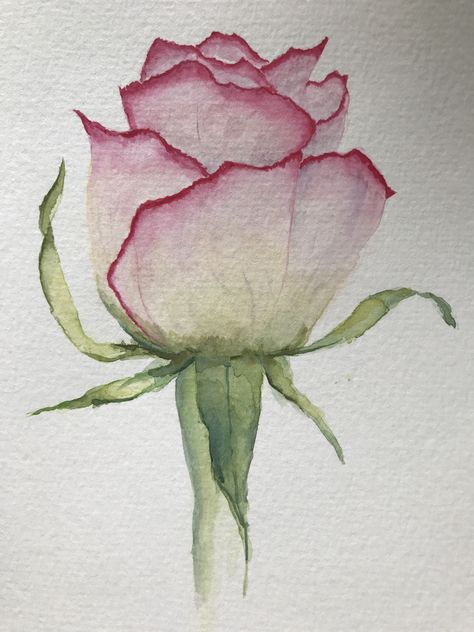 Single Rose Watercolor, Water Colour Rose Easy, Watercolor Paintings Of Roses, Teacher Watercolor Art, Watercolor Art Rose, Pink Rose Drawing, Pink Flowers Drawing, Watercolor Rose Tutorial, Rose Painting Watercolor