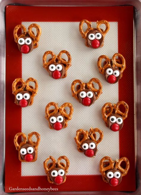 Rudolph Rolo Pretzels - Garden Seeds and Honey Bees Rolo Reindeer Pretzels, Reindeer Pretzels With Rolos, Rolo Pretzel Reindeer, Pretzel Reindeer Treats, Pretzel Reindeer With Rolos, Rollo Pretzel Reindeer, Pretzel Rolo Bites, Rollo Pretzel Treats, Chocolate Dipped Pretzels Christmas