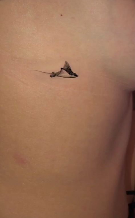 Aesthetic Stingray Tattoo, Cute Tattoos For 3 People, Shark Aesthetic Tattoo, Cool Stingray Tattoo, Back Ocean Tattoo, Medium Length Tattoo, Stingray Arm Tattoo, Tattoos About The Ocean, Small Ray Tattoo