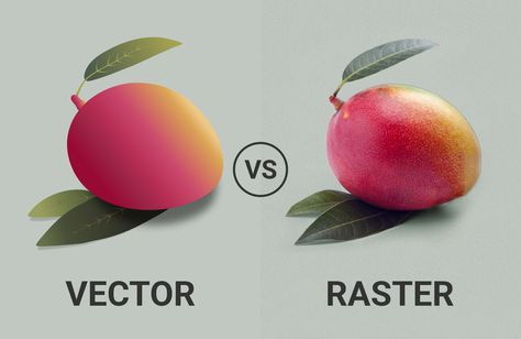 I will convert image to vector tracing and vectorize image in 12 hours Convert Image To Vector, Raster Graphics, Raster To Vector, Photoshop Tutorial Design, Raster Image, Image File Formats, Print Layout, Flash Art, Reference Poses