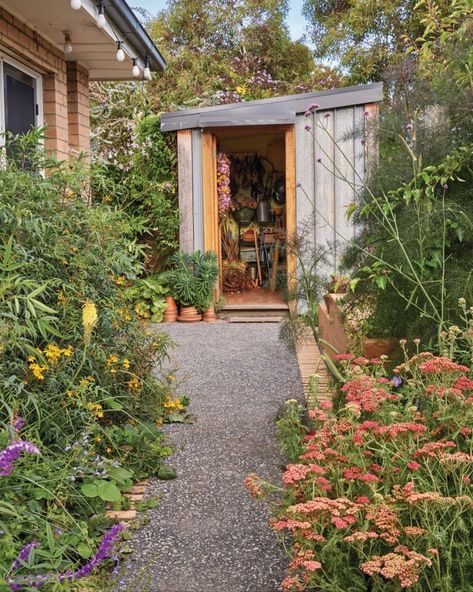 How to make a small suburban garden, and the surrounding street, a truly magical space 🪄 'Six years ago it might have been possible for a plant lover to drive past the red-brick house on the corner block in Melbourne’s southern suburb of Frankston without causing a traffic incident. Low brick fence, neatly mowed grass verge, front lawn bordered by clipped shrubs: nothing to see here. But then, in 2019, Jac Semmler and her partner Matt moved in. The front lawn was soon ripped up, the concre... Australian Brick House, Suburban Garden, Australian Gardens, Lawn Borders, Super Bloom, Brick Fence, Nothing To See Here, Australian Garden, Red Brick House