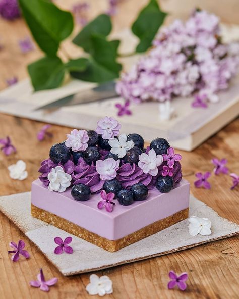 Another picture of the Blueberry & Lavender Raw Cake ✨ that probably will be one of the stars of my book. Still no time for Instagram… Blueberry Lavender, Parfait Desserts, Purple Food, 귀여운 음식 그림, Raw Cake, Pretty Dessert, Cute Food Art, Beautiful Desserts, Fancy Desserts