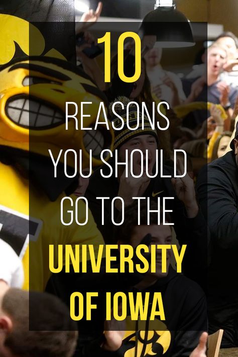 10 Reasons Why You Should Go To the University of Iowa University Of Iowa Dorm, Iowa University, College Things, College Tour, University Dorms, College Search, College Days, University Of Iowa, College Planning