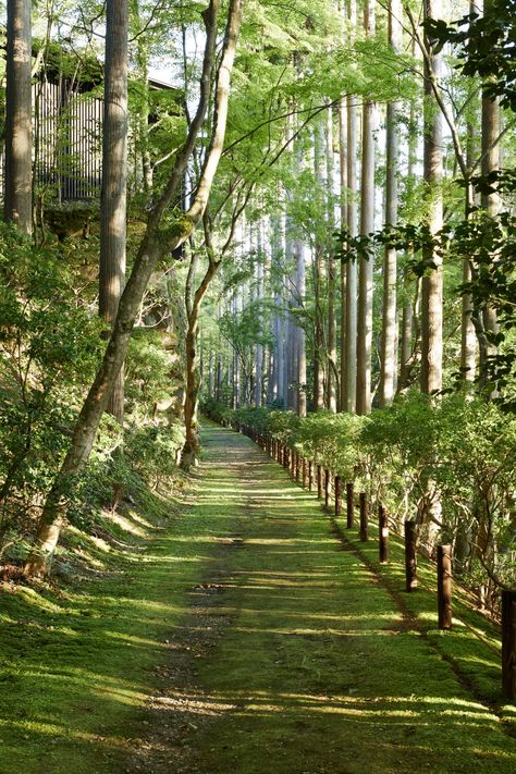 Forest Garden Ideas, Aman Kyoto, Kerry Hill Architects, Golden Pavilion, Backyard Views, Forest Garden, Alam Yang Indah, Zen Garden, Unesco World Heritage Site