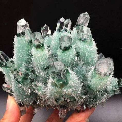 Green Phantom Quartz, Essential Accessories, Rock Minerals, Ice Crystals, Pretty Rocks, Phantom Quartz, Beautiful Rocks, Rock Collection, Mineral Stone