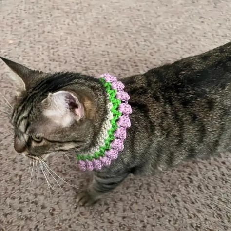 Free Crochet Dog Collar Patterns, Pet Collar Crochet Free Pattern, Crochet Cat Collar Pattern, Crochet Cat Collar Free Pattern, Crochet Dog Collar, Crochet Cat Collar, Dog Leashes And Collars, Fashionable Crochet, Boho Dog Collar