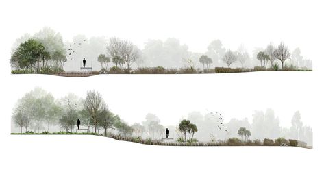 Long Section Architecture, Section Landscape Architecture, Landscape Section, Landscape Architecture Section, Landscape Diagram, Landscape Architecture Graphics, Tree Photoshop, Urban Design Graphics, Landscape Design Drawings