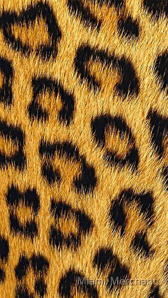 Leopard print Cheetah Print Background, Cheetah Background, Ios 11 Wallpaper, Cheetah Print Wallpaper, Wild Animal Wallpaper, Gold Wallpaper Background, Animal Print Wallpaper, Iphone 6 Wallpaper, Cover Wallpaper