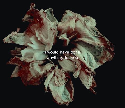 Deadly Flowers Aesthetic, Wilted Flower Aesthetic, Decay Aesthetic Dark, Withering Flower Aesthetic, Wilting Flowers Aesthetic, Wilted Flowers Aesthetic, Decayed Flowers, Rotting Flowers, Hanahaki Disease Aesthetic