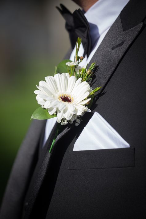 Simple but beautiful grooms button hole of white gerbera with gypsophila and greenary. #weddingattire #blacksuitandbowtie #buttonholes #gerbera #weddingflowers Gerber Daisy Boutonniere, Wedding Gerbera Bouquet, Gerbera Wedding Decoration, Bride Flower Bouquet Elegant, Gerbera Buttonhole, Gerbera Wedding Bouquet, Gerber Daisy Bouquet Wedding, Gerbera Bridal Bouquet, Gerber Daisy Bouquet