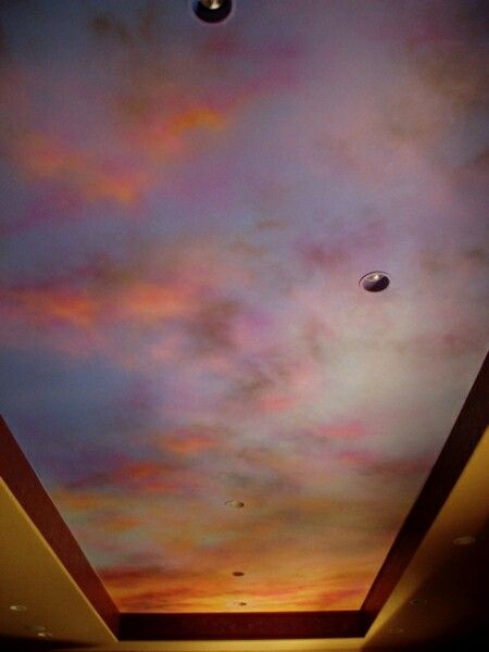 G.go murals Painted Vaulted Ceiling Bedroom, Ceiling Mural Ideas, Ceiling Mural, Awesome Inventions, Cloud Ceiling, Sky Ceiling, Ceiling Painting, Ceiling Murals, Interior Colors