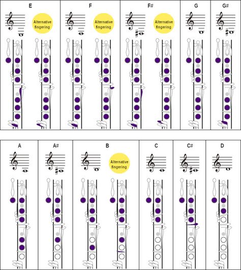 Clarinet Fingering Charts Clarinet Note Chart, Clarinet Notes Chart, Clarinet For Beginners, Clarinet Tips, Clarinet Songs, Clarinet Fingering Chart, Tenor Saxophone Sheet Music, Alto Saxophone Sheet Music, Music Theory Piano