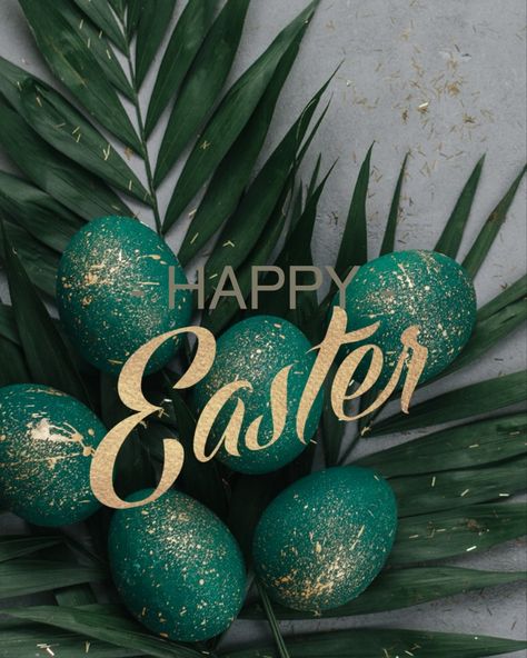 #easter Happy Greetings, Happy Easter Greetings, Jesus Is Alive, Easter Backgrounds, Flower Wallpapers, Cute Small Animals, Wedding Design Decoration, Cute Flower Wallpapers, Cake Pictures