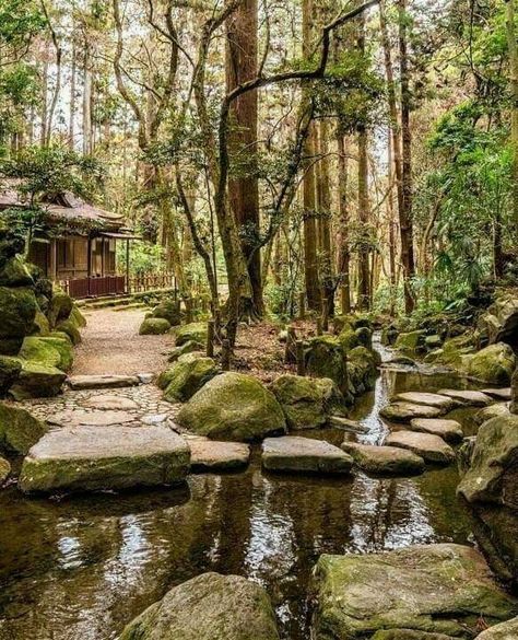 Forest Garden, Half Blood, Cabins In The Woods, Nature Aesthetic, Pretty Places, Dream Garden, Fantasy Landscape, Brunei, Water Features