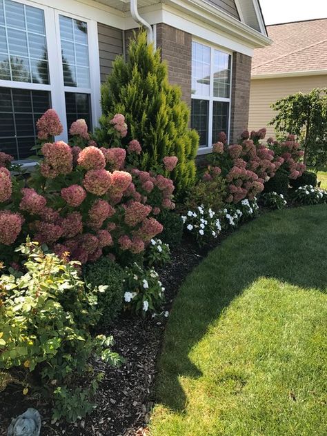 Front Yard Landscaping Year Round, Landscaping Ideas With Hydrangeas, Landscape In Front Of Fence, Utah Front Yard Landscaping, Front Entry Landscape Ideas, Landscaping For Ranch Style Homes, Walk Way Landscaping, Cottage Landscape Ideas, Utah Landscape Ideas