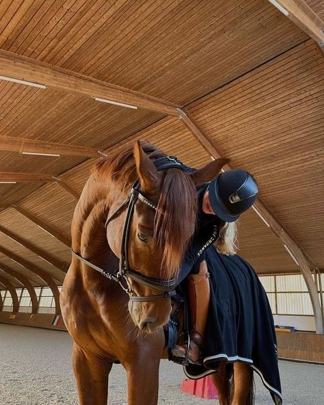 Horseback Riding Outfit, Aesthetic Equestrian, Riding Outfit Equestrian, Horsey Life, Horse Riding Aesthetic, Equestrian Aesthetic, Cute Horse Pictures, Equestrian Chic, Equestrian Girls