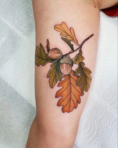 #acorntattoo #autmnaltattoo #botanicaltattoo #botanicalillustration #autumncolors #autumnvibes #lydiatattoos September Tattoos, Acorn Tattoo, Barcode Tattoo, See Tattoo, Autumn Tattoo, Bear Tattoos, Eagle Tattoos, Mask Tattoo, Fox Tattoo