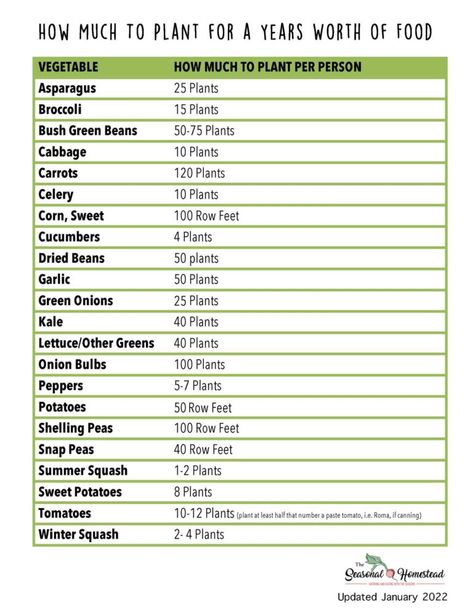 Homestead Layout, Sweet Potato Plant, Onion Bulbs, Planting Potatoes, Succession Planting, Corn Plant, Homestead Gardens, Square Foot Gardening, Food Forest