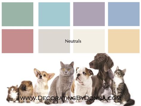 Vet Office Decor, Dog Clinic, Veterinarian Office, Clinic Art, Pet Branding, Coastal Color Palette, Doggie Daycare, Dog Hotel, Vet Clinic