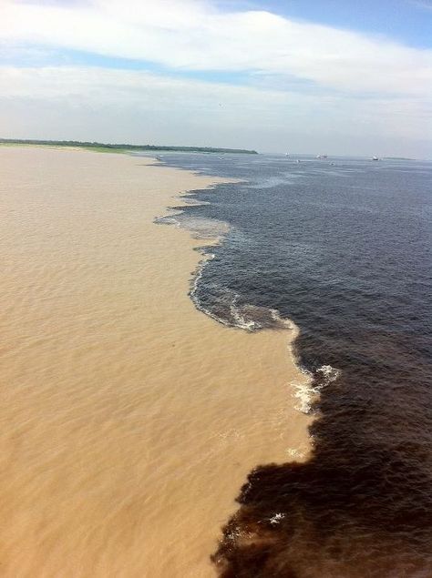 "Meeting of the Waters" is the point at which the Rio Negro meets the Rio Solimões in the Brazilian state of Amazonas - Manaus City. Due to differences in temperature, speed and density, the two rivers' differently colored waters don't mix immediately, but flow side by side for several miles. Types Of Reptiles, Brazil Tourism, Brazil Amazon, Dense Forest, Black River, Amazon River, Two Rivers, Amazon Rainforest, Side By Side