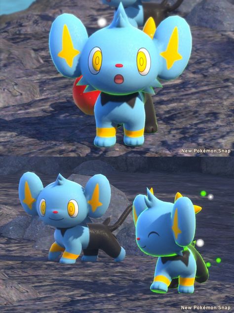 #pokemon #pokemonsnap #shinx Luxio Pokemon, Shinx Art, Pokemon Shinx, Luxray Pokemon, Best Fireworks, Pokemon Eevee Evolutions, Eevee Evolutions, Pokemon Eevee, Pokemon Comics