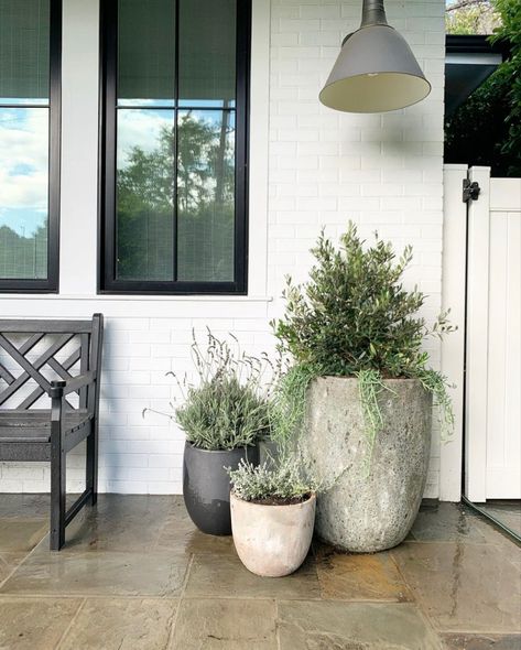 Organic Modern Front Porch, Front Door Potted Plants, Front Door Plants Pots Entrance, Front Door Planter Ideas Entrance, Front Planters, Modern Front Porch Decor, Front Door Plants, Front Door Planters, Porch Plants