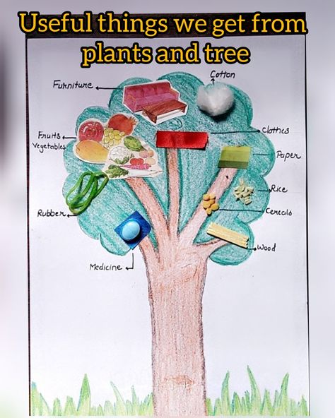 Teaching Aids For Maths, Kindergarten Science Projects, Environmental Projects At School, Plants Worksheets, Plant Activities, Planting For Kids, Alphabet Crafts Preschool, Kindergarden Activities, Kindergarten Reading Activities