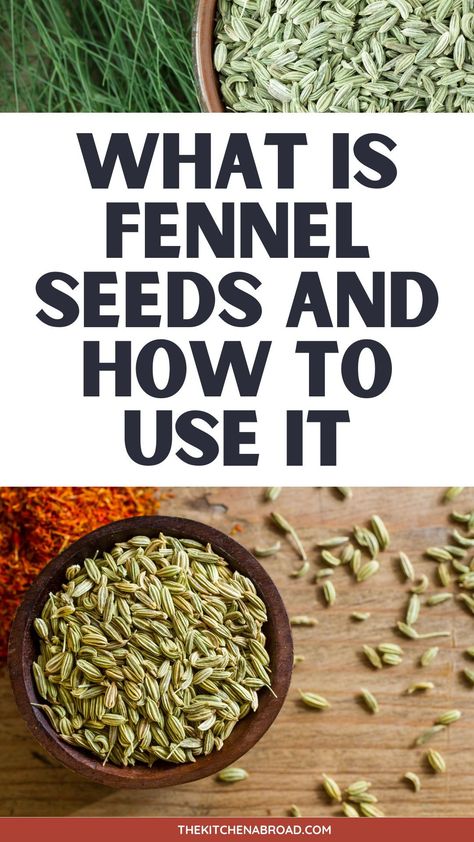 Discover the culinary and health wonders of Fennel seeds, your go-to guide for understanding their benefits, uses, and where to find them. Recipes With Fennel Seeds, Fennel Seeds Water Benefits, Fennel Seeds Benefits, Seeds Benefits, Seed Cake, Herb Seeds, Nutritional Value, Fennel Seeds, Pork Dishes