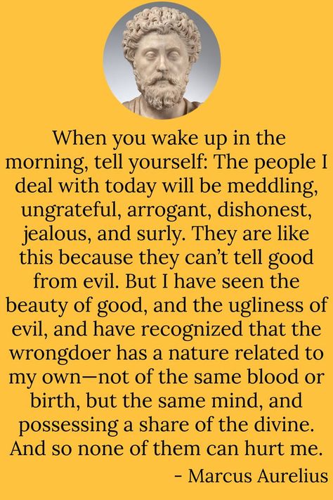 Text reads:  When you wake up in the morning, tell yourself: The people I deal with today will be meddling, ungrateful, arrogant, dishonest, jealous, and surly. They are like this because they can’t tell good from evil. But I have seen the beauty of good, and the ugliness of evil, and have recognized that the wrongdoer has a nature related to my own—not of the same blood or birth, but the same mind, and possessing a share of the divine. And so none of them can hurt me.
- Marcus Aurelius Meditation Marcus Aurelius Quotes, Stoics Quotes, Meditations Marcus Aurelius, Wisdom Quotes Truths, Aurelius Quotes, Marcus Aurelius Meditations, Inspirational Uplifting Quotes, Marcus Aurelius Quotes, Study Philosophy