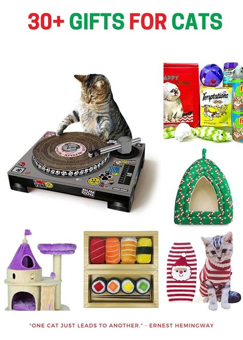 Adorable, cute and cool gift ideas for a cat's birthday, Christmas, Caturday or any day! #giftsforpets Christmas Presents For Cats, Gifts For Cats, Best Cat Toys, Cat Fountain, Cat Christmas Gift, Cat Beds, Cat Merchandise, Best Cat, Birthday Printables