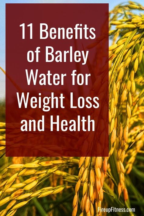 Barley Tea Benefits, Barley Water Benefits, Barley Water Recipe, Barley Health Benefits, Barley Benefits, Lose Lower Belly Fat Fast, Barley Water, Barley Grain, Lose Belly Weight