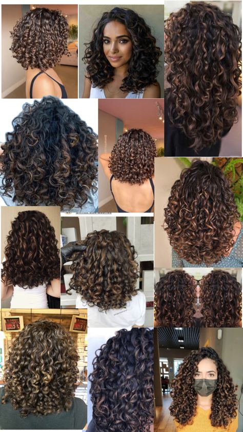 Short Layered Curly Hair, Curly Hair Highlights, Ebony Hair, Natural Curly Hair Cuts, Different Curls, Highlights Curly Hair, Layered Curly Hair, Mixed Curly Hair, Brown Curls