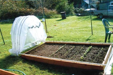 Retractable PVC Hoop House - Grit | Rural American Know-How Diy Hoop House, Hoop House, Raised House, Diy Greenhouse Plans, Building A Raised Garden, Greenhouse Plans, Diy Greenhouse, Cold Frame, Greenhouse Gardening