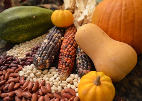 three sisters. squash, corn, beans. Cherokee Food, American Corn, Wounded Knee, Traditional Thanksgiving Recipes, Pbs Food, 3 Sisters, Thanksgiving Traditions, American Living, Three Sisters