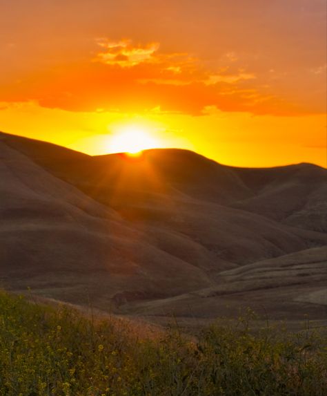 An orange summer sunset in the California hills. California Hills, Orange California, Scenic Pictures, California Summer, California Sunset, Oc Inspo, Hollywood Hills, Summer Sunset, California Travel