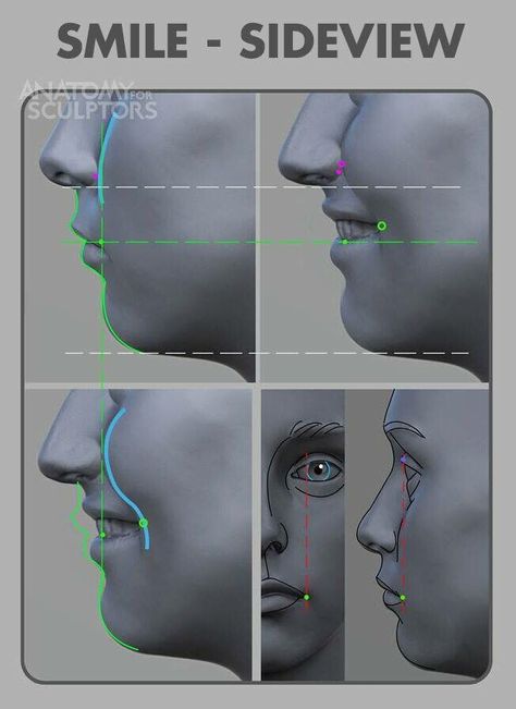 Side and bottom view of smile, Anatomy For Sculptors on ArtStation at https://www.artstation.com/artwork/xzgmm4 Drawing Reference Photos, Anatomy For Sculptors, Zbrush Anatomy, Head Anatomy, Facial Anatomy, Face Anatomy, Anatomy Sculpture, 얼굴 드로잉, Anatomy Tutorial