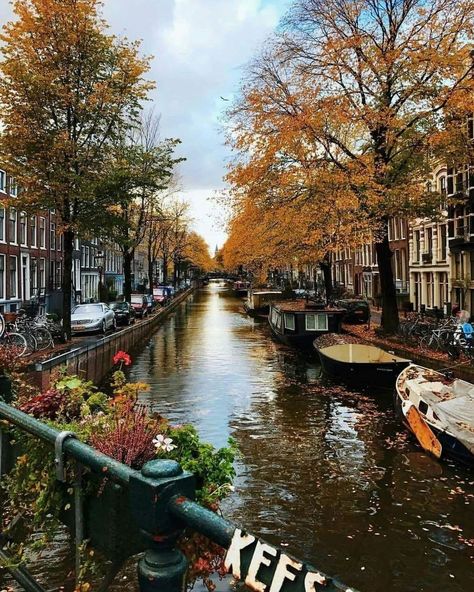 🌺🍁 Amsterdam Netherlands 🌾🌿 #amsterdam #amsterdamtravel #netherland Make It Count, Netherlands Travel, Amsterdam Travel, Amsterdam Netherlands, Dream City, Work Week, Wanderlust Travel, Pretty Places, Travel Inspo